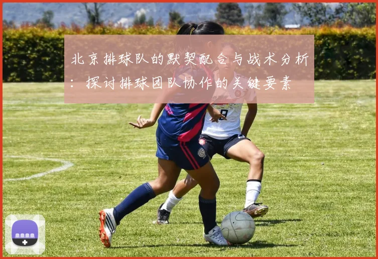 北京排球队的默契配合与战术分析：探讨排球团队协作的关键要素