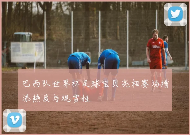 巴西队世界杯足球宝贝亮相赛场增添热度与观赏性
