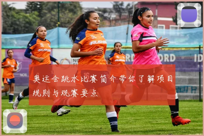 奥运会跳水比赛简介带你了解项目规则与观赛要点